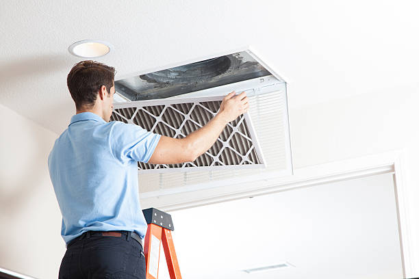 Best Solar-powered HVAC Systems in New Prague, MN